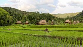 Rice field and Village in Muang Xai, Laos